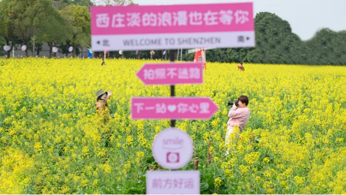 二1446.png
