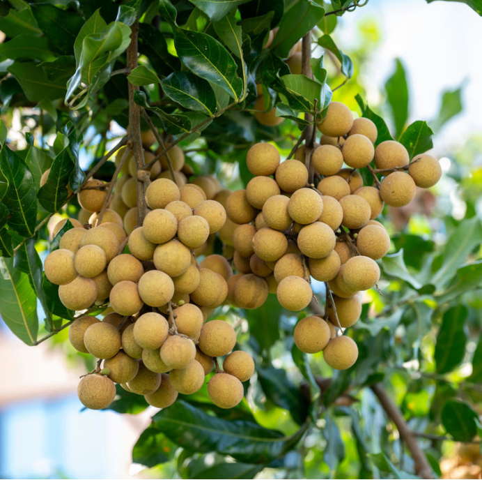 1757589161677458.png HYPERLINK209.png