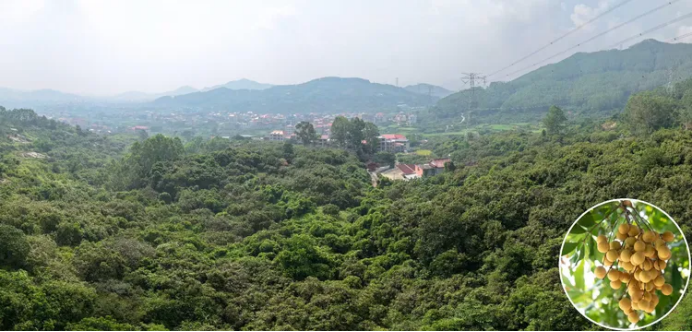 1757589185573941.png HYPERLINK235.png