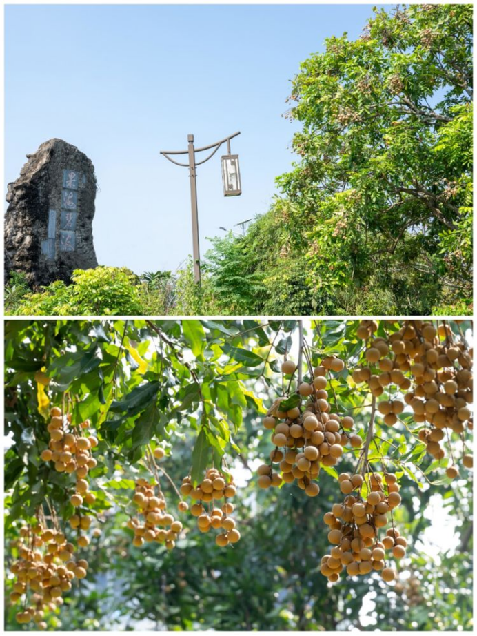 1757589214349906.png HYPERLINK309.png