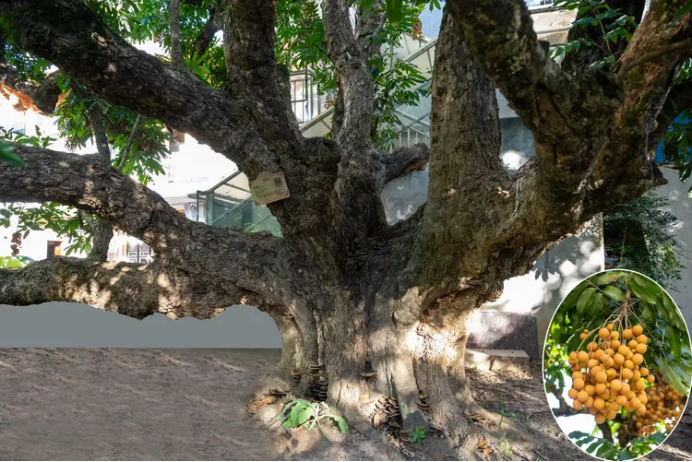 1757589244702805.png HYPERLINK625.png