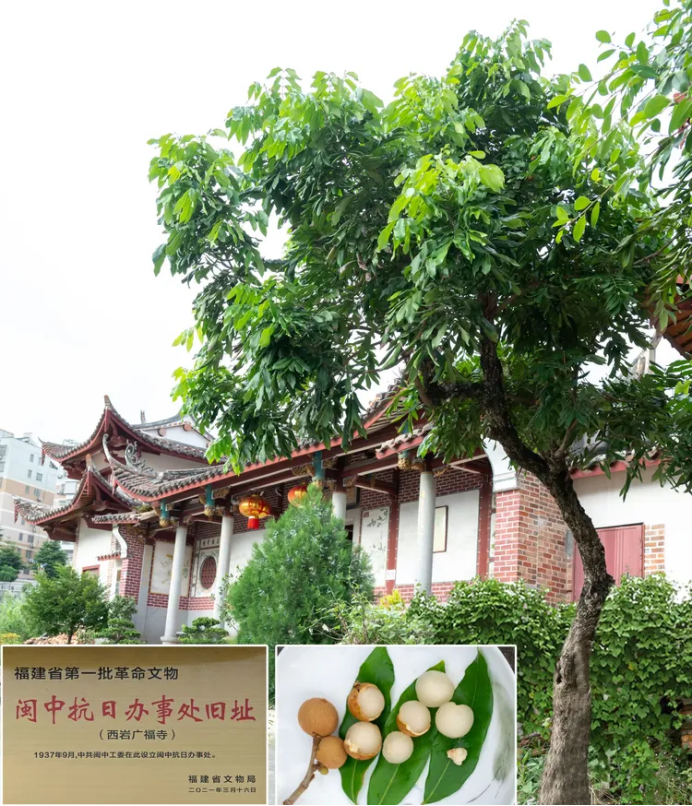 1757589274213560.png HYPERLINK688.png