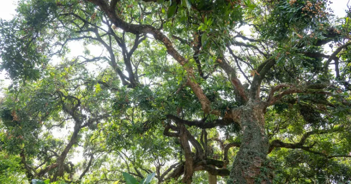 1757589293724273.png HYPERLINK777.png