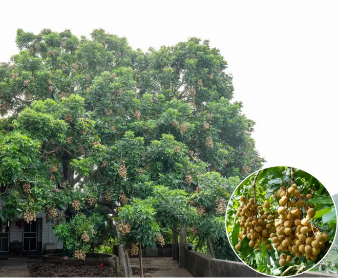 1757589307106412.png HYPERLINK828.png