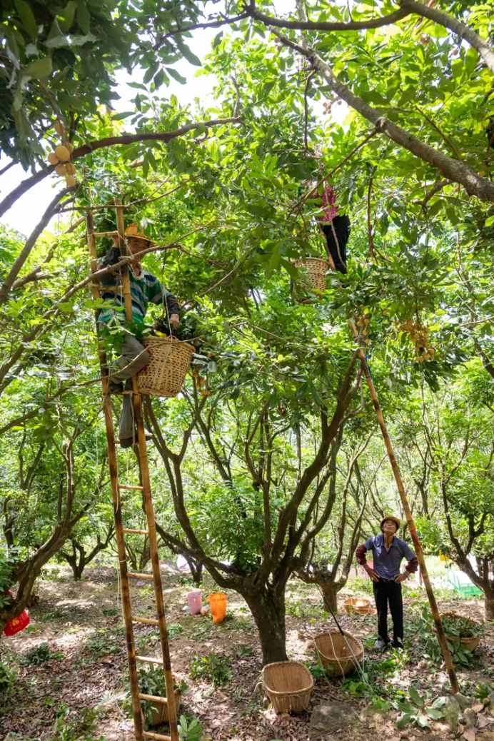 1757589318859670.png HYPERLINK981.png