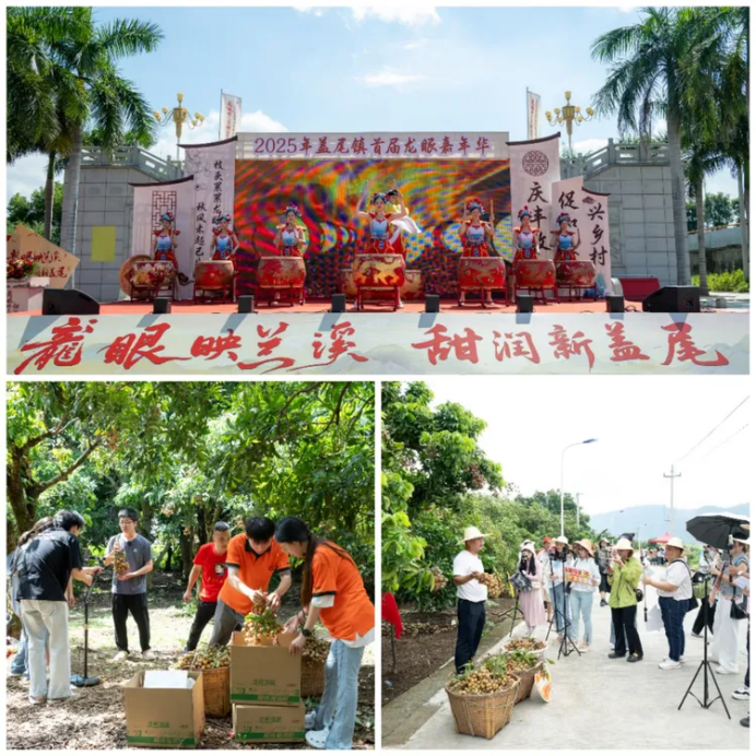 1757589336667289.png HYPERLINK996.png