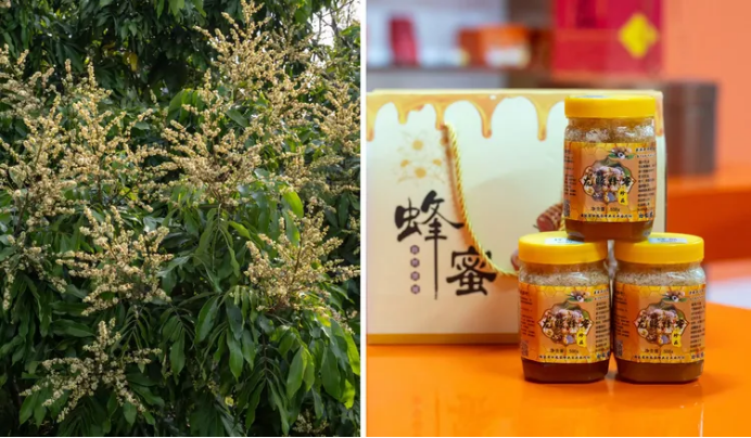 1757589402969184.png HYPERLINK1673.png